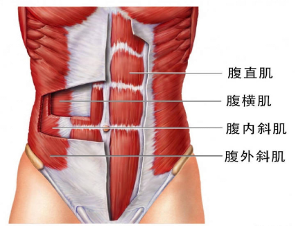 腹直肌分離，它附近的肌肉是什么？