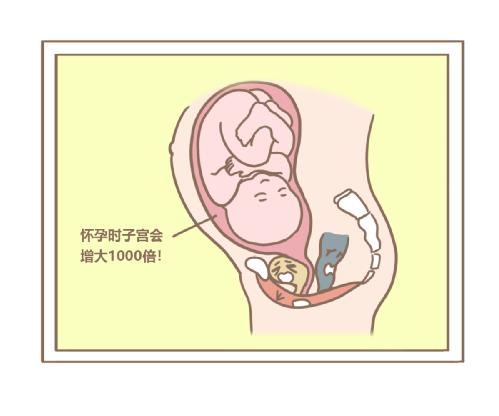 產(chǎn)后肥胖能用盆底肌修復(fù)儀器治療嗎？